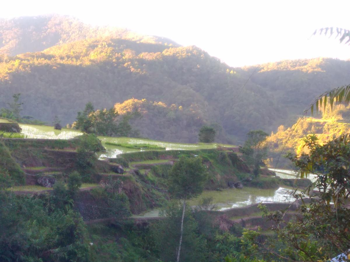 Savta Homestay Banaue Exterior photo